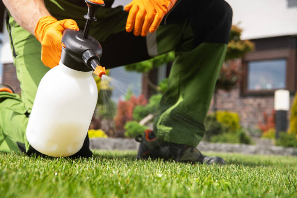 Insect Control in Staten Island, NY