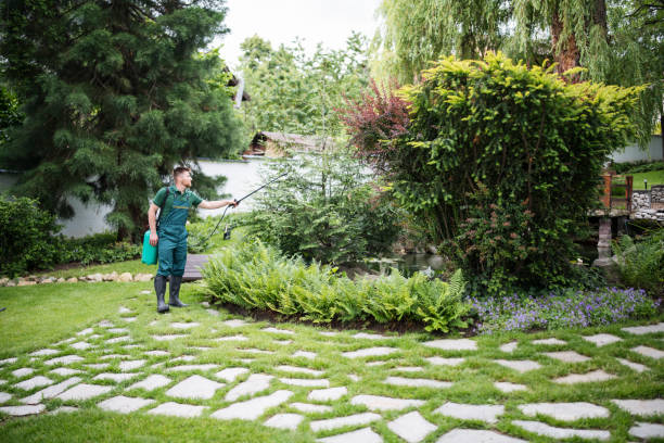 Pest Control Cost in Staten Island, NY