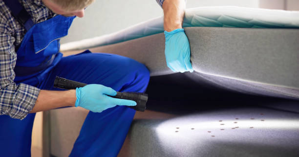 Trusted Staten Island, NY Pest Control Experts