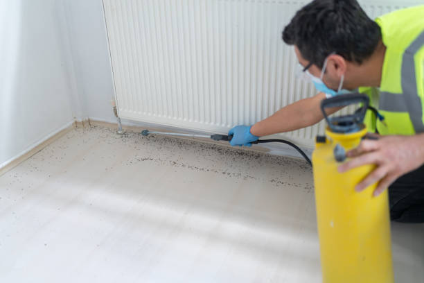 Best Emergency Pest Control  in Staten Island, NY