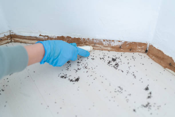 Best Pest Prevention Services  in Staten Island, NY