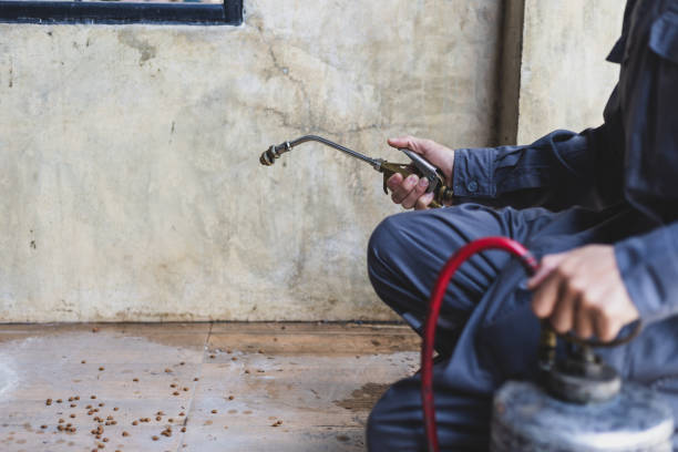 Best Pest Control for Restaurants  in Staten Island, NY
